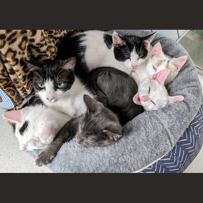 Photo of Francis 🌹🌹