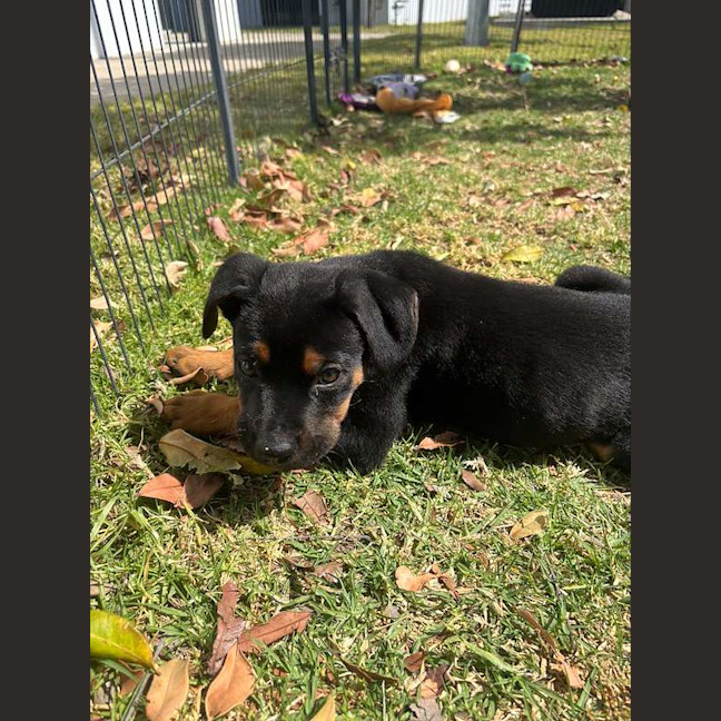 Photo of Bucky