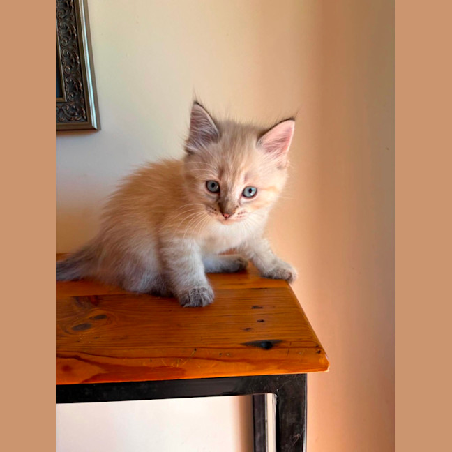 Photo of Bob