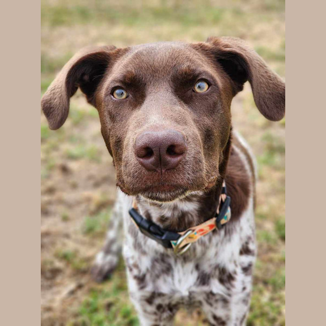 Photo of 🍟 Jack Jack 5561 🍟