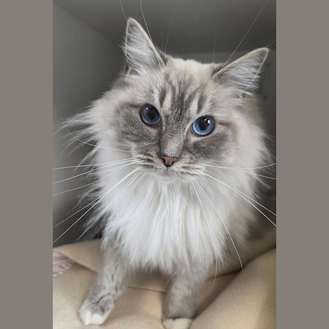 Photo of Molly