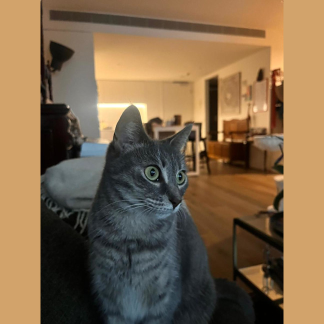 Photo of Tammy