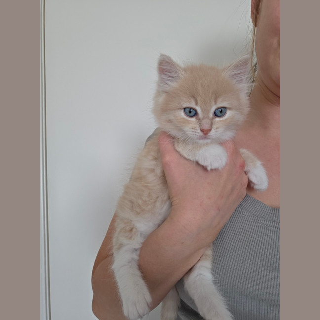 Photo of Theodore