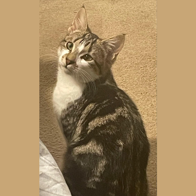 Photo of Avery