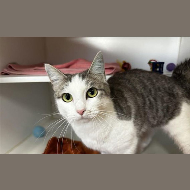 Photo of Teaah