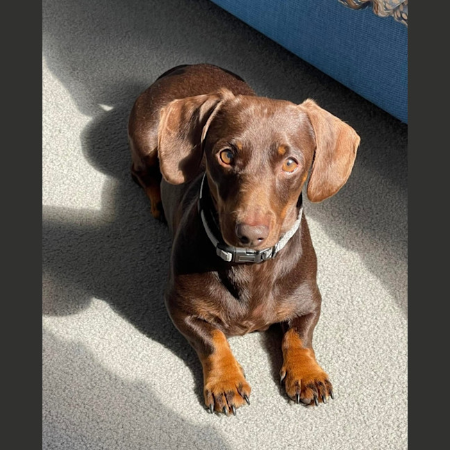 Photo of Frank