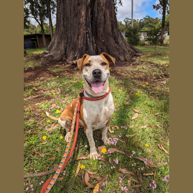 Photo of Milly