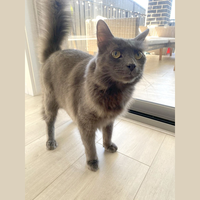 Photo of 💙 Blu 💙