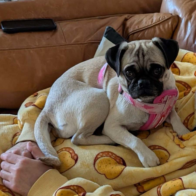 Photo of Missy