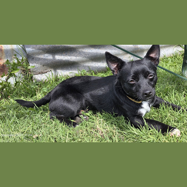 Photo of Scott (Turbo)