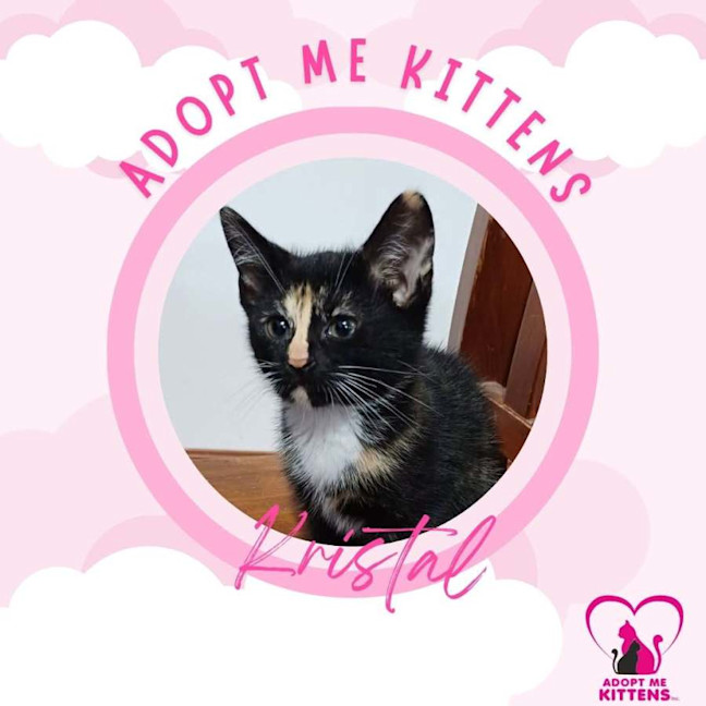 Photo of Kristal