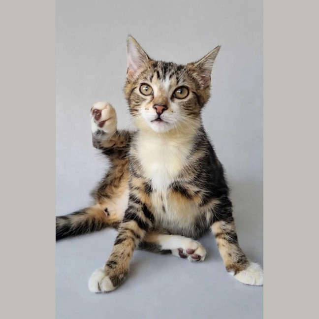 Photo of Elliette 
