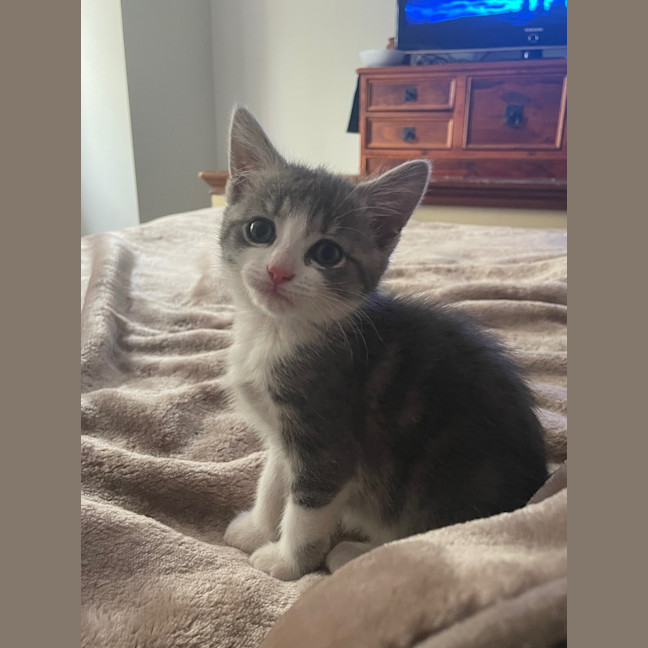 Photo of Minnie Mimi