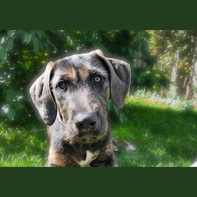 Photo of Paris Monet 