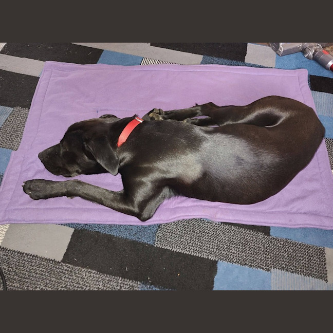 Photo of Tank