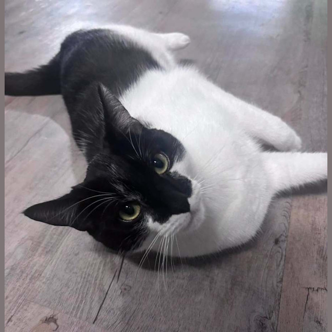 Photo of Murphy