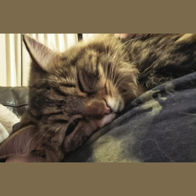 Photo of Nami