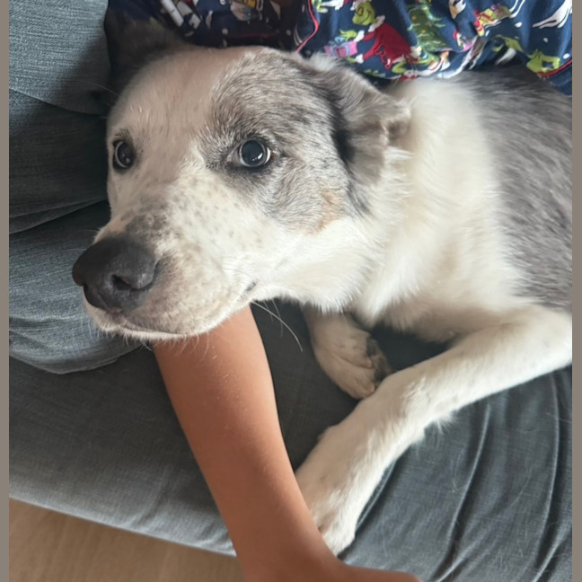 Photo of Zeus 