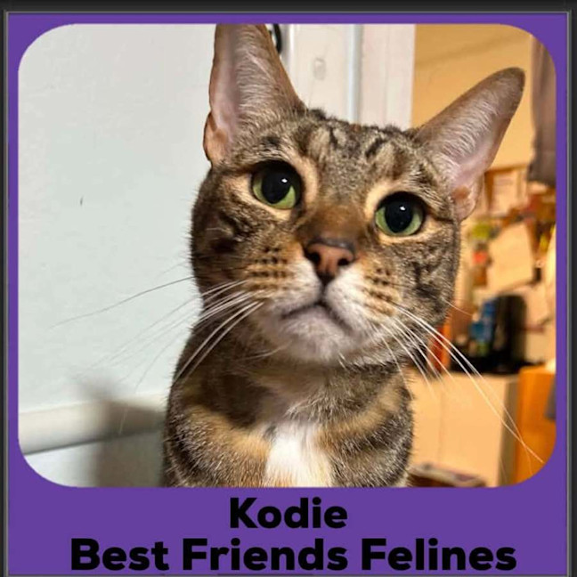 Photo of Kodie