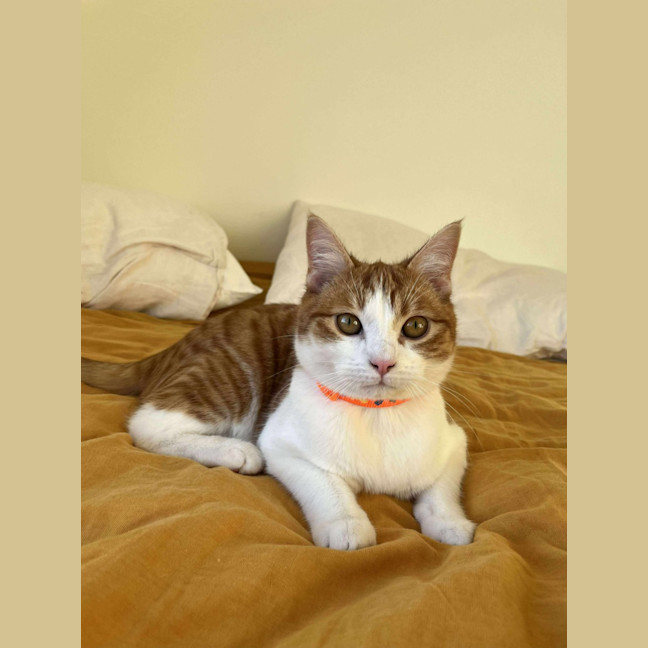 Photo of Edgar (Egg 🥚) 