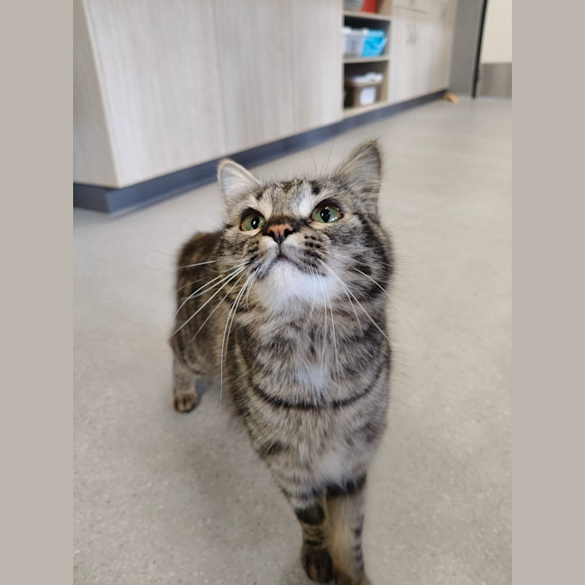 Photo of Billie Bean 