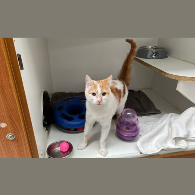 Photo of Bob