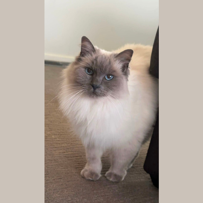 Photo of Missy 