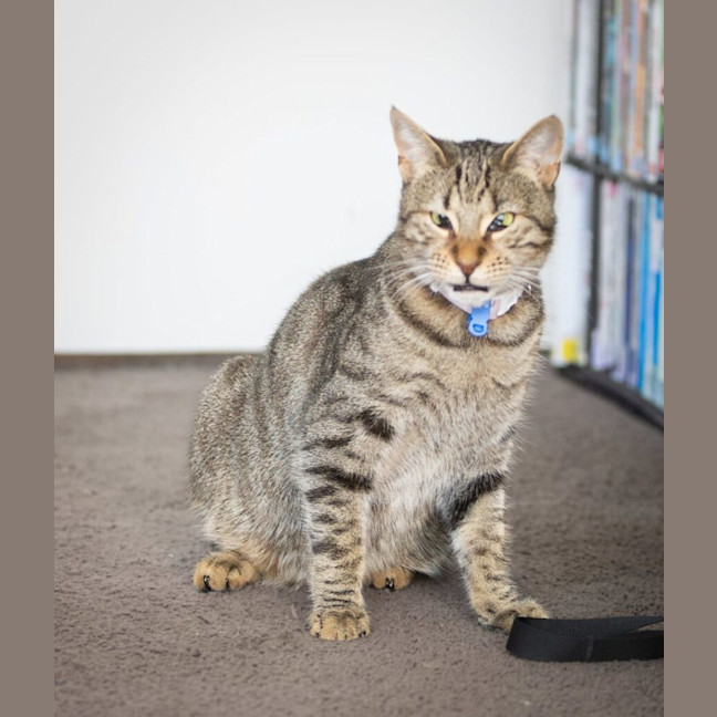 Photo of Tiggy