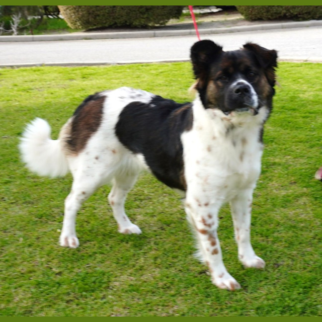 Photo of Nelly