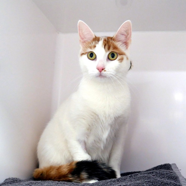 Photo of Billie Sua015427