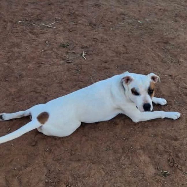 Photo of Missie