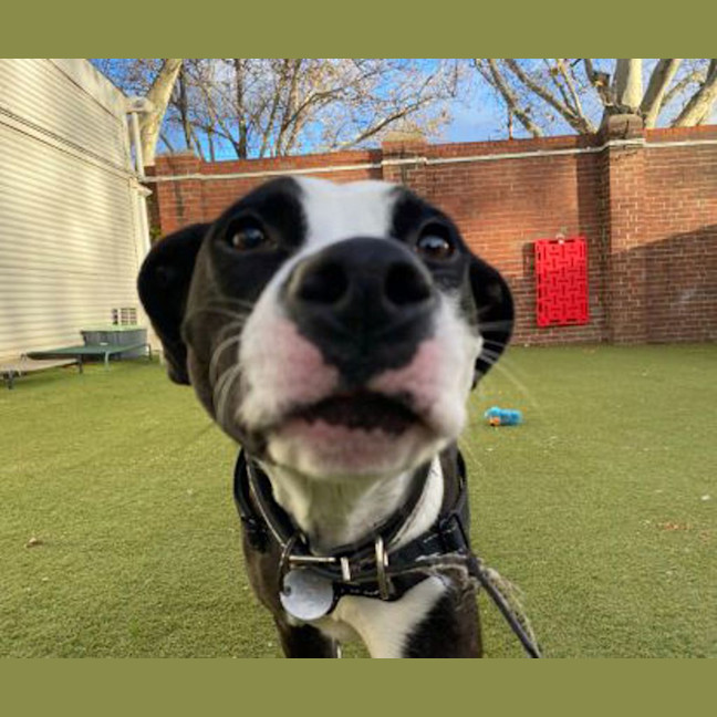 Photo of Moo