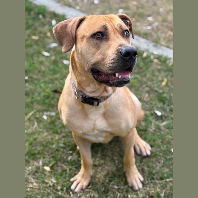 Photo of Tookie (9950)