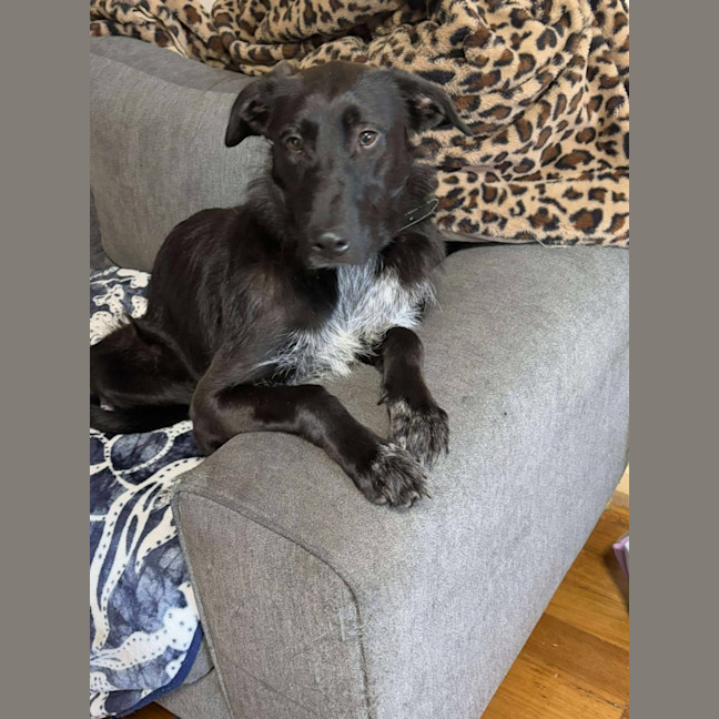 Photo of Mollie