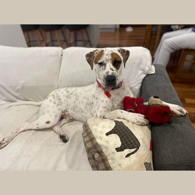 Photo of Beethoven