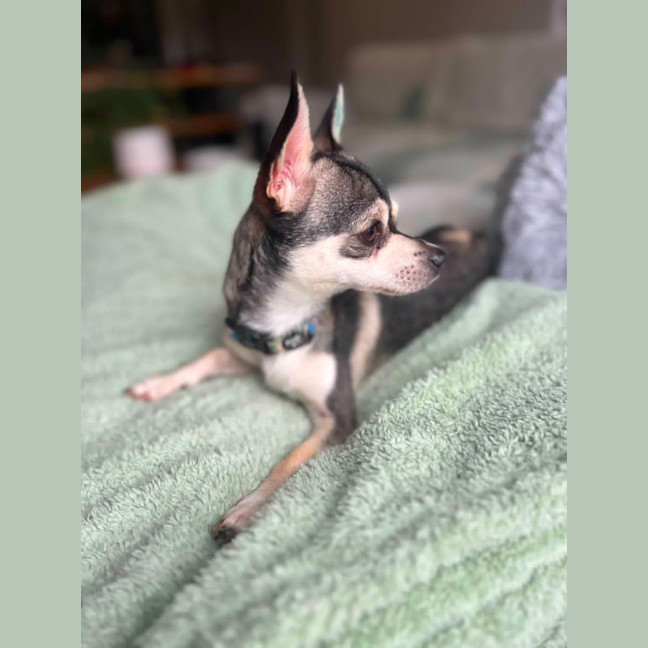 Photo of Pablo
