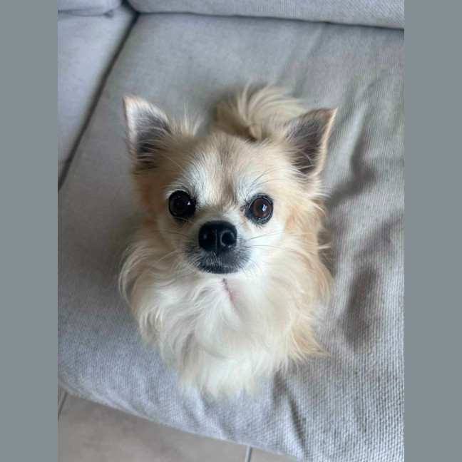 Photo of Ace