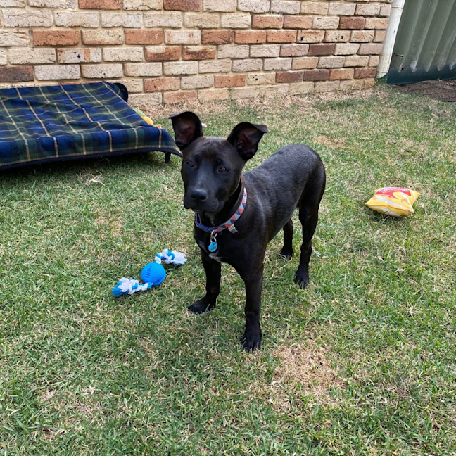 Photo of Cinders