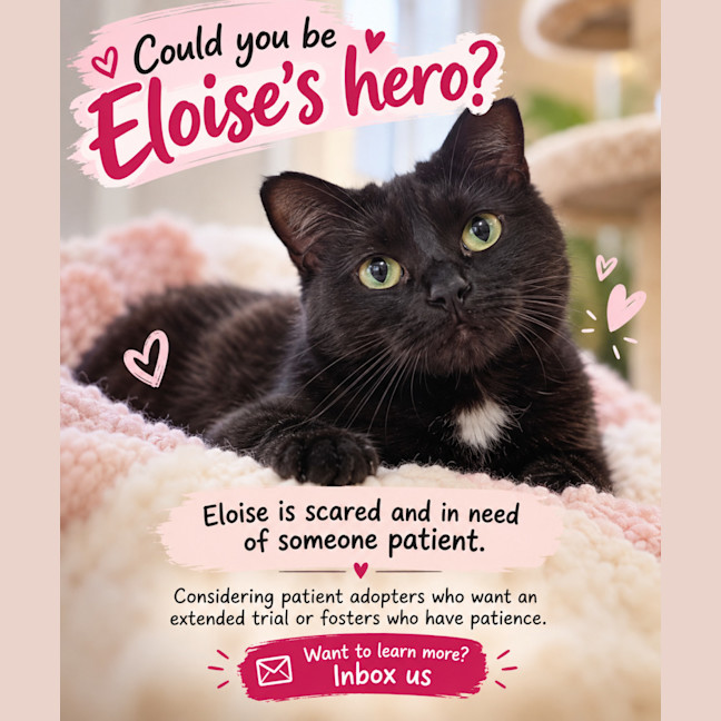 Photo of Eloise