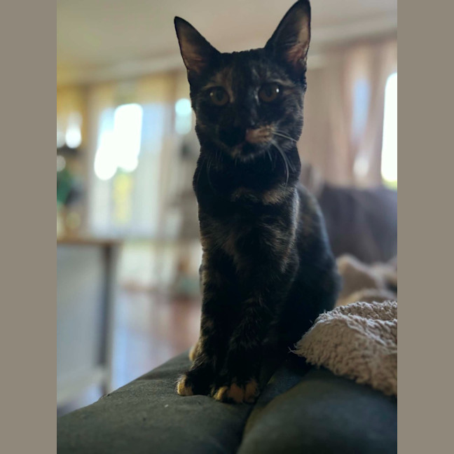 Photo of Gemma