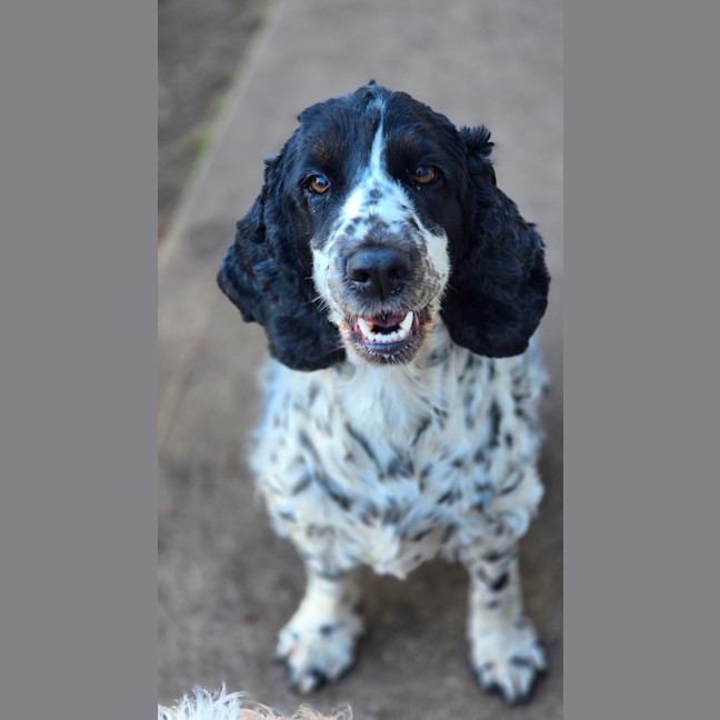 Photo of Lola