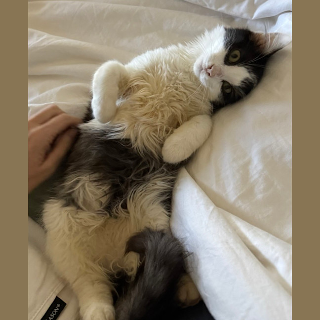 Photo of Asher