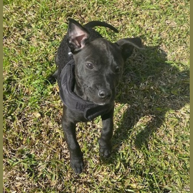 Photo of Dan (66691)