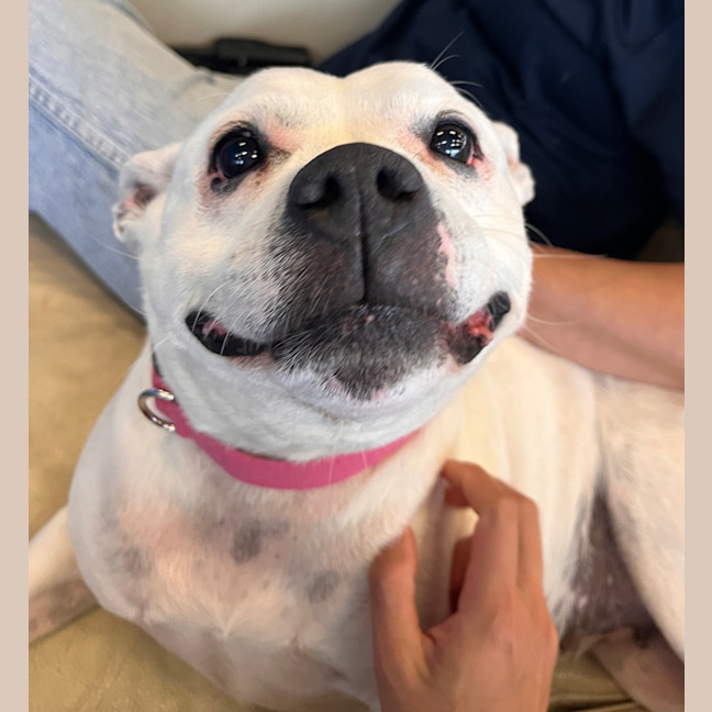 Photo of Princess Zelda