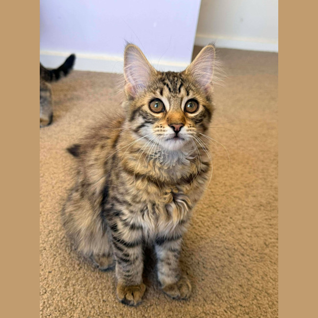 Photo of Jive