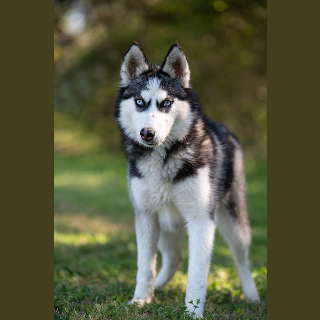Photo of Elsa