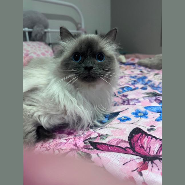 Photo of Nixie