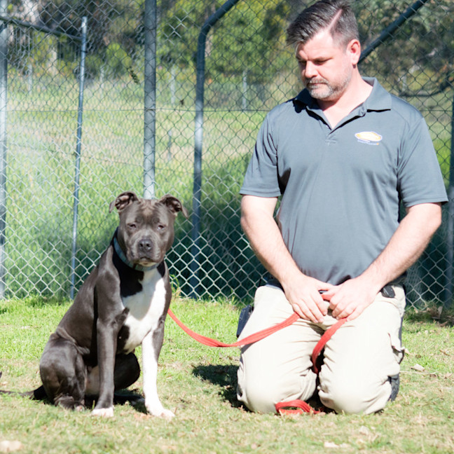 Photo of Nautica