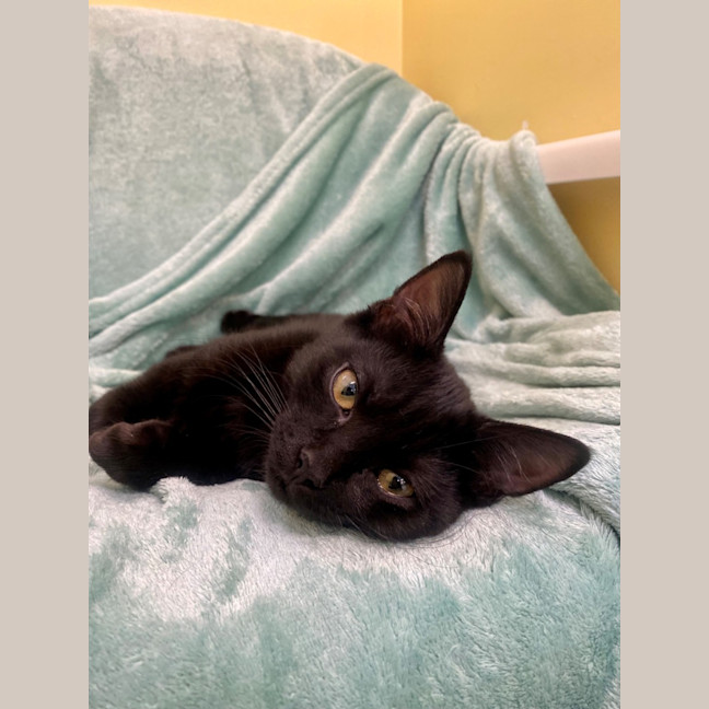 Photo of Rosie