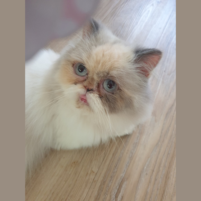 Photo of Samantha 